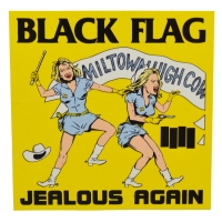 BLACK FLAG Jealous Again ステッカー