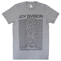 JOY DIVISION Unknown Pleasures Tシャツ GREY